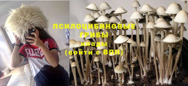 ешки Каменка