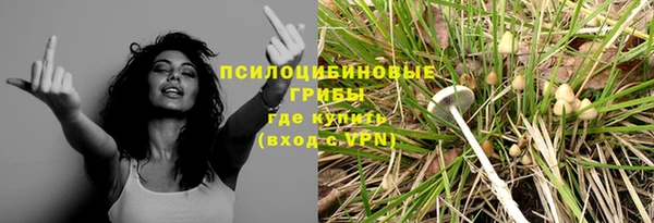 молекула духа Каменск-Шахтинский