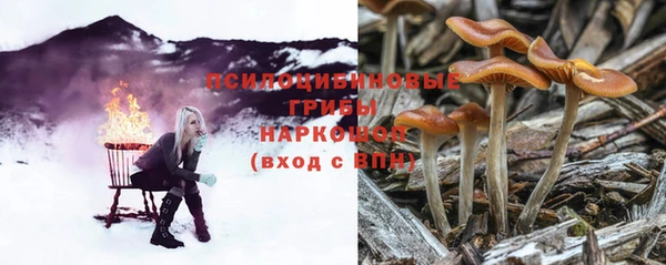 молекула духа Каменск-Шахтинский