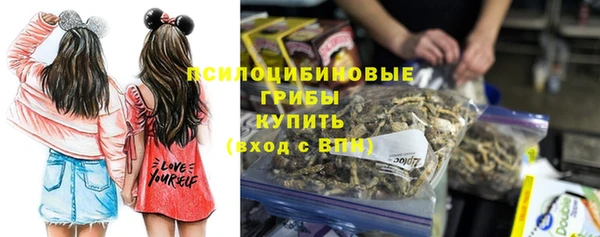 молекула духа Каменск-Шахтинский
