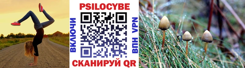 Галлюциногенные грибы Cubensis  Купить где  Саров 
